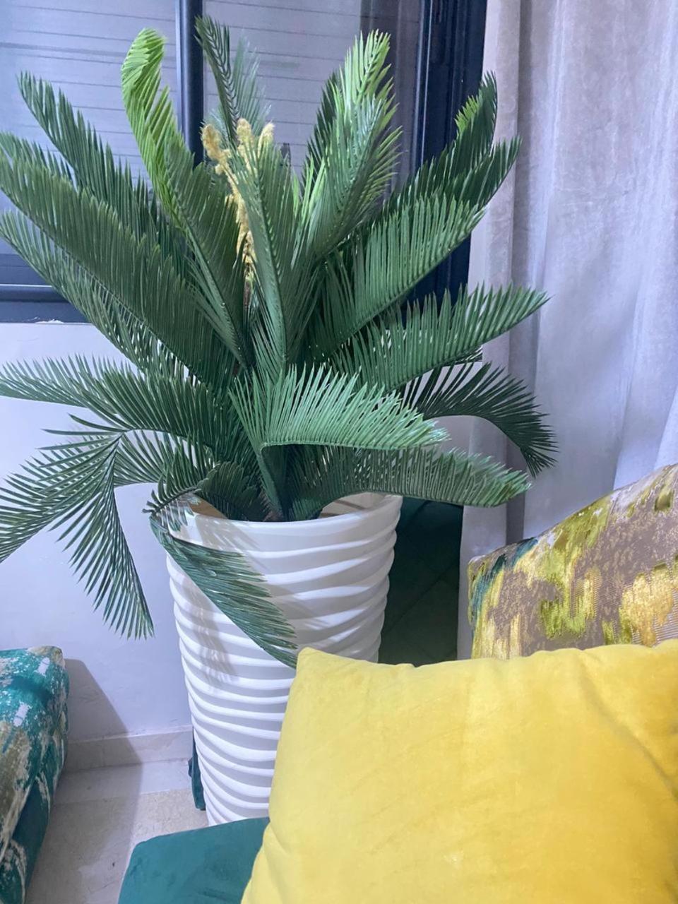 Cosy & Magnifique Appartement Marrakech Marrakesh Extérieur photo
